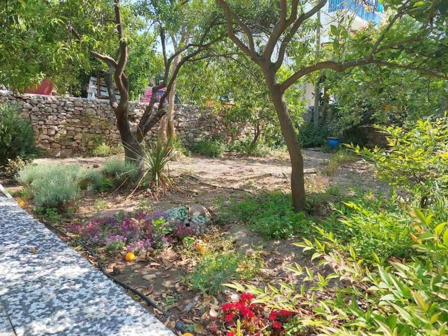 Mel'S Garden House In The Heart Of The City Bodrum Zewnętrze zdjęcie
