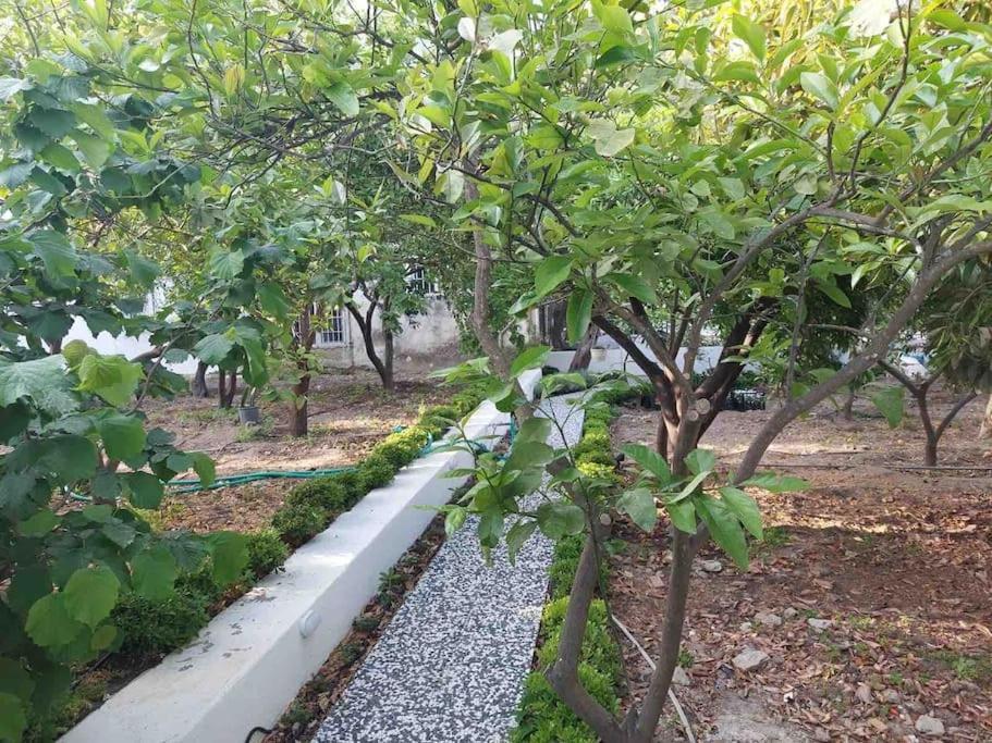 Mel'S Garden House In The Heart Of The City Bodrum Zewnętrze zdjęcie