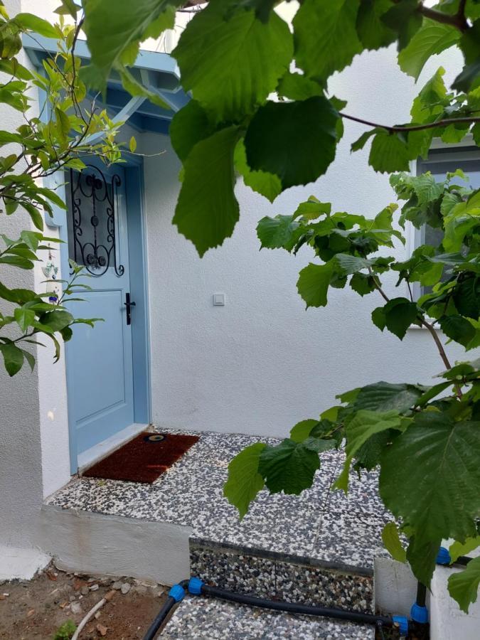 Mel'S Garden House In The Heart Of The City Bodrum Zewnętrze zdjęcie